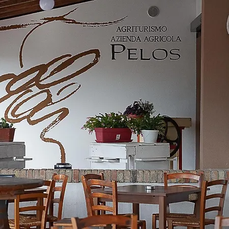 팜스테이 Pelos 루다